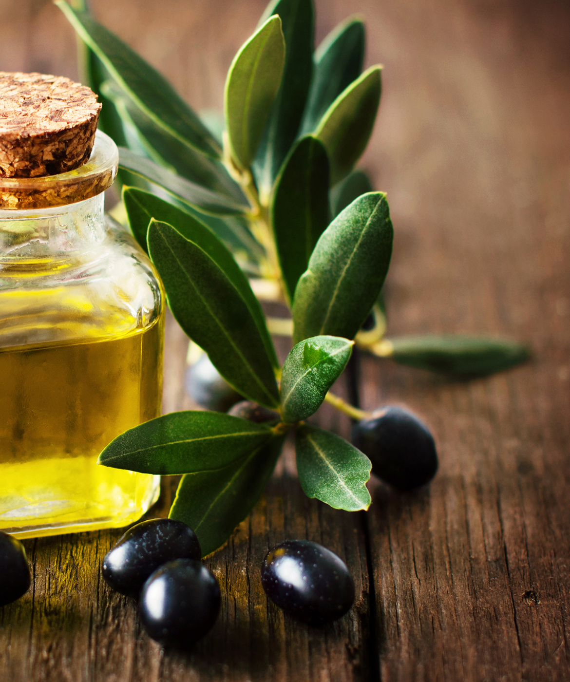 Pk2 Olive oil